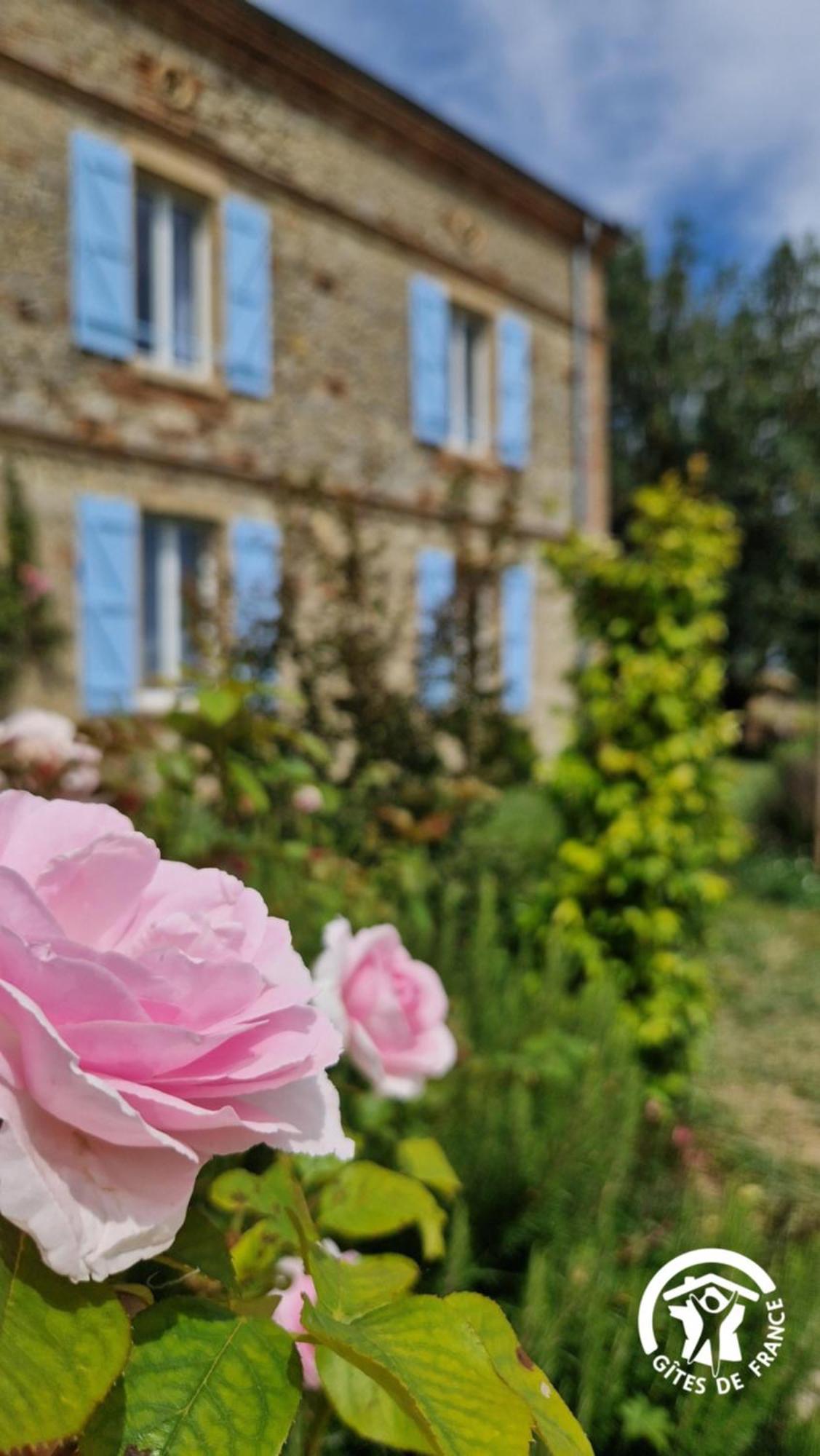 Aux Roses De Cedres Chambre Savane Salvagnac ภายนอก รูปภาพ